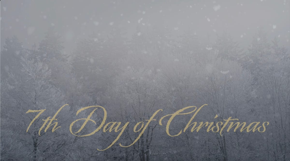 7th Day of Christmas